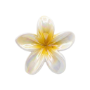 CLIP PARA CABELLO FLORAL