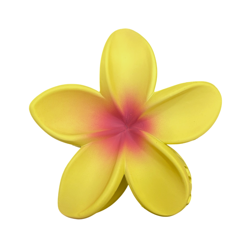 CLIP PARA EL CABELLO FLORAL